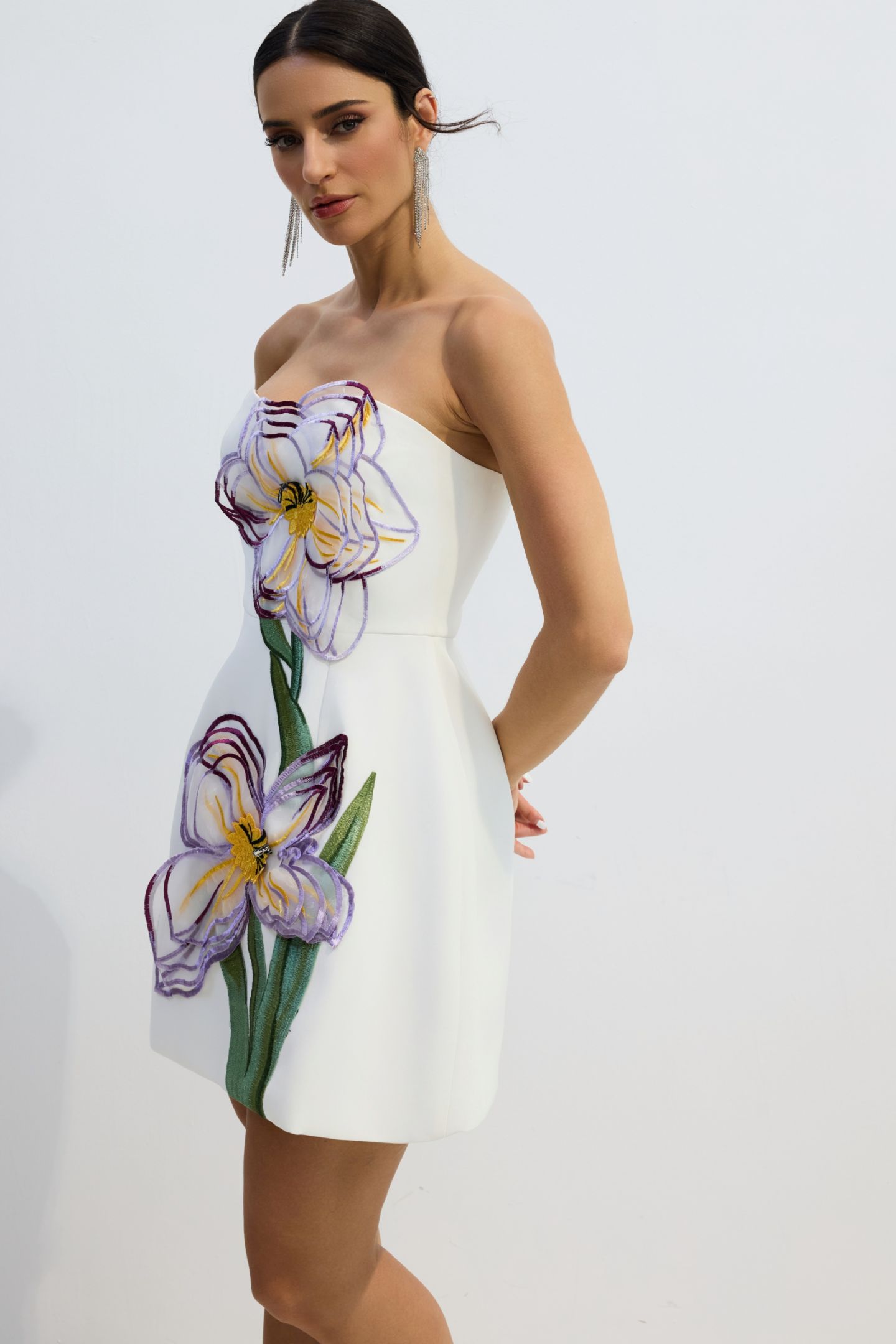 Lorena Floral Applique Strapless Mini Dress